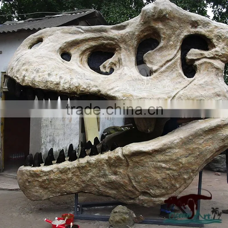 life size dinosaur head skeleton made by ziong city dinosaur manufacture
