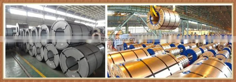 high quality prime ppgi coil in china