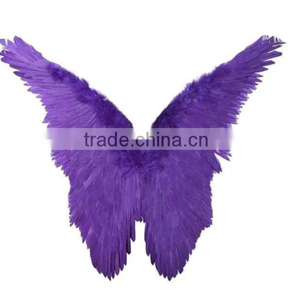 Fairy Angel Feather Wings Christmas Fancy Dress