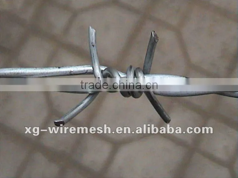 bared razor wire(high quality low price)