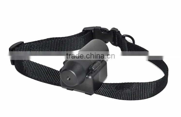Harmless hot new dog products import wholesale electronics