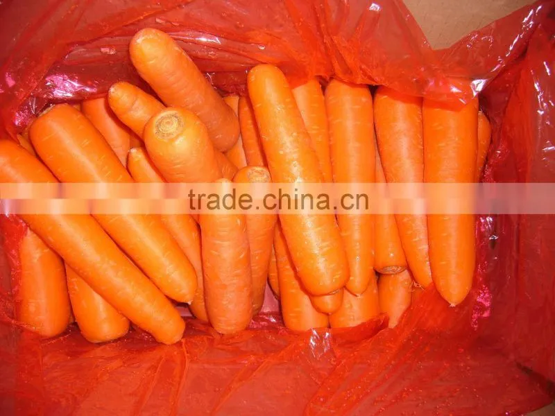 2016 chinese new crop fresh Carrot in carton