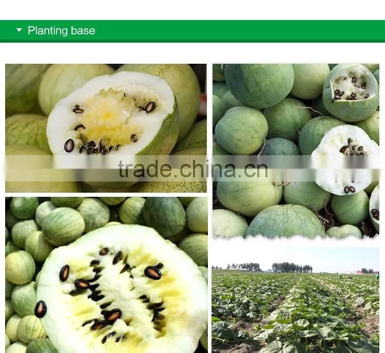 High quality watermelon seeds in shell