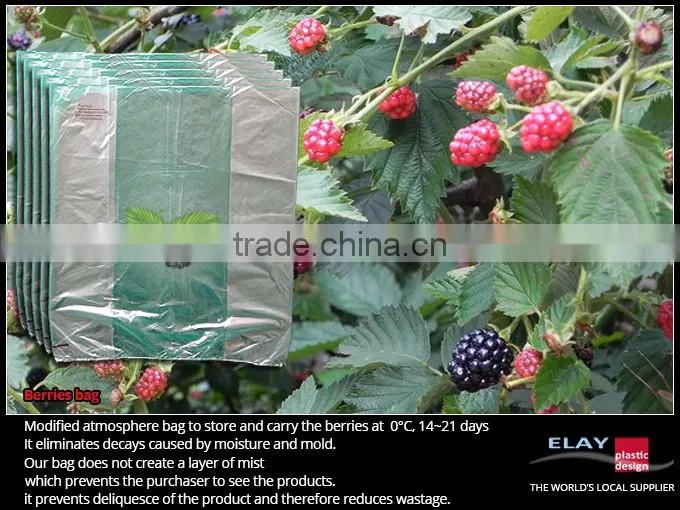 Dragon fruit bag
