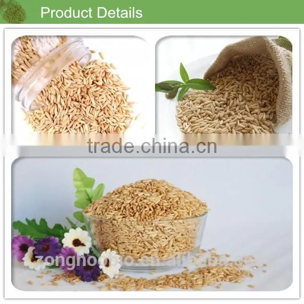 Diabetes supplement oat oil