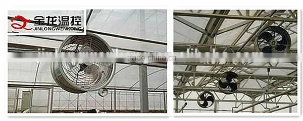 JINLONG Big air flow and low noise air circulation fan for Poultry farming