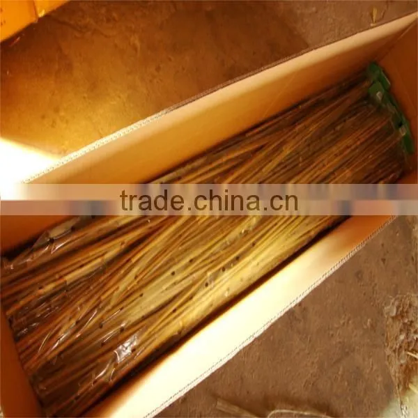WY-221High quality bamboo poles bamboo canes bamboo stakes in raw materials for agriculture