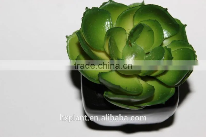 artificial succulent plants making
