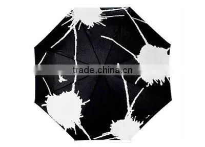 Color Changing Umbrella