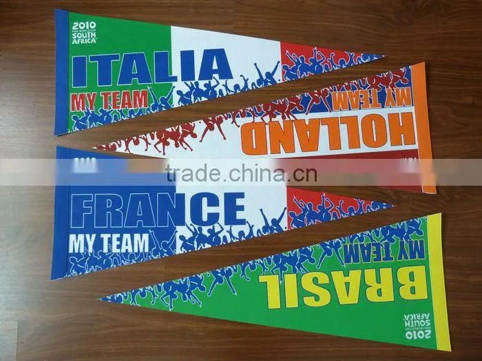 Argentina flag/