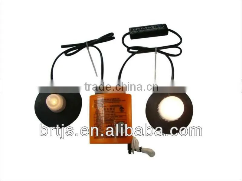 Ec Type Approved Life Raft Light
