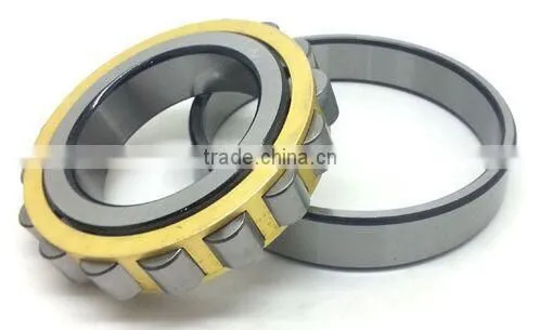 China Bearing Manufacturer Cylindrical Roller Bearing NU205M NU206 NU207EM NU208M