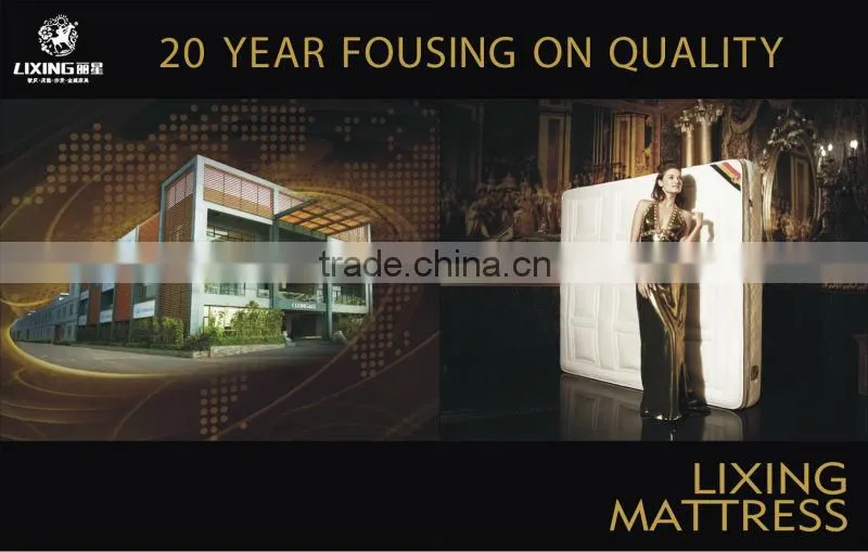 2016 Fashionable & Durable Spring Latex/Foam Mattress Comfort Night Foam Mattres M91