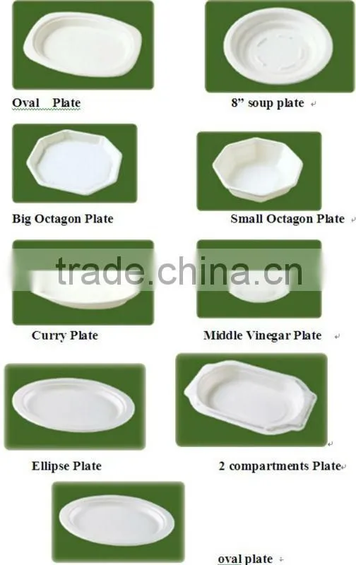 Biodegradable and Disposable Sugarcane Pulp Curry plate