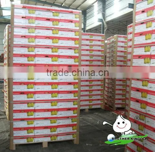 China Brother Kingdom pomelo