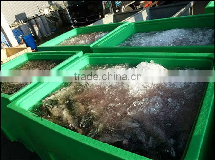 Rotomolded insulation fish tub large capacity fish container fish totes