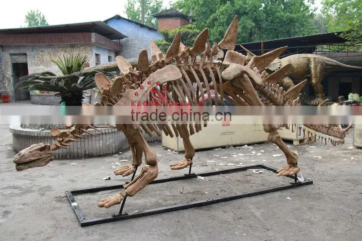 High Quality Simulated Dinosaur Skeleton Model Of Tuojiangosaurus
