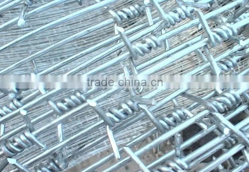galvanized barbed wire(Anping Factory)