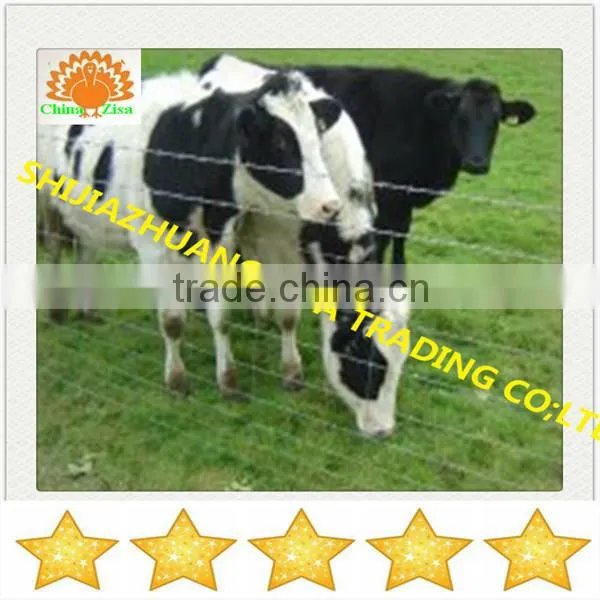 High quality deer farm steel fence factory