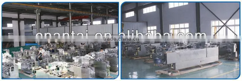 DLL-240 Strip Packing Machine /Pharmaceutical Machinery