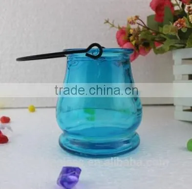 Glass Vase Bottle for plant With Metal Handle Candle Hydroponic/Home Decoration