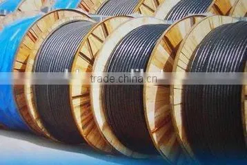 0.6/1kv XLPE insulated PVC sheath power cable