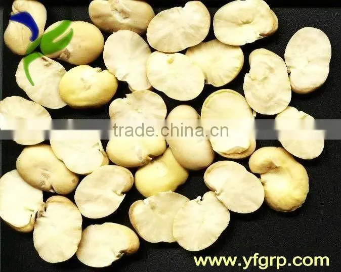 Dried Broad Beans