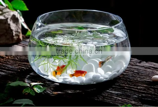 China suppler factory price high transparent acrylic material fish tank