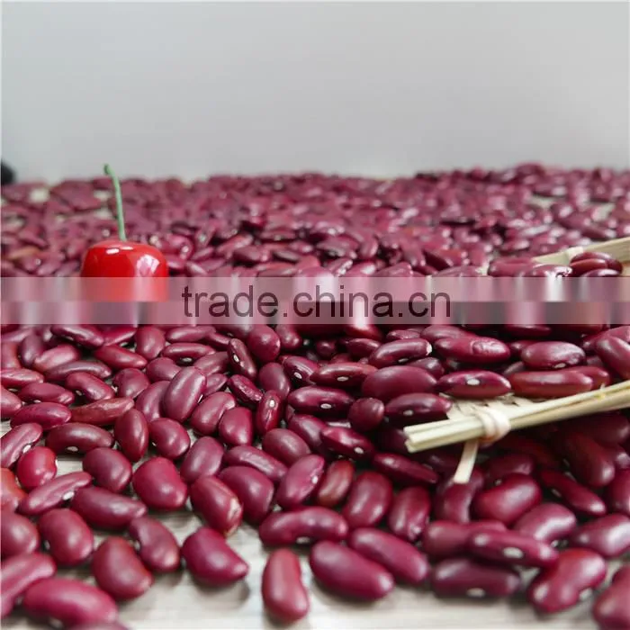 dark red kidney bean