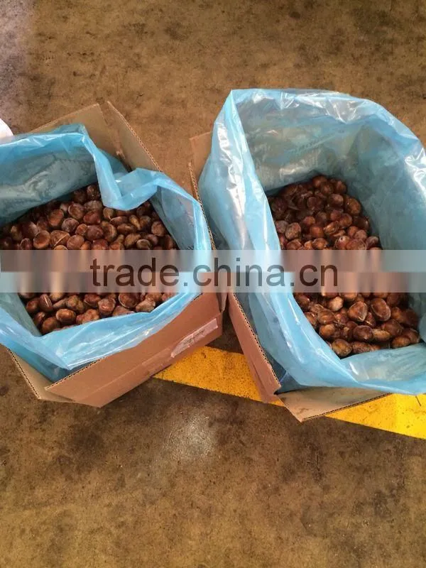 2015 new crop cut frozen chestnuts