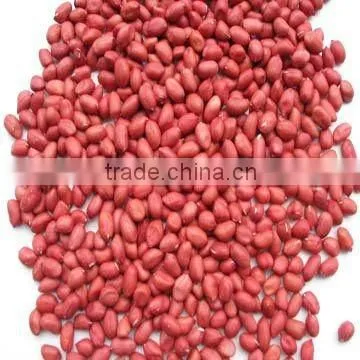 supply all kinds of peanut and peanut product