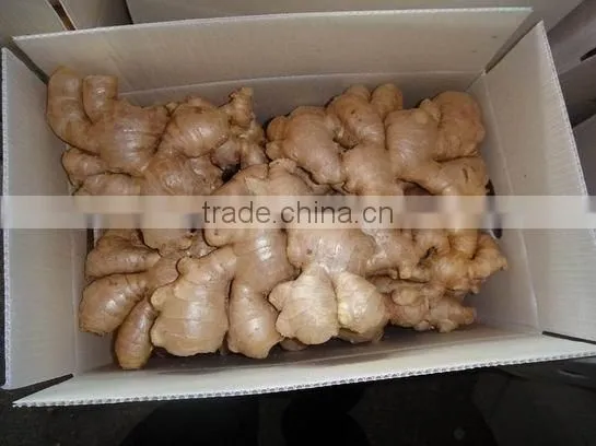 Fresh Ginger