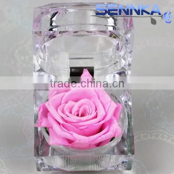 Natural preserved rose flower crafts with various colors