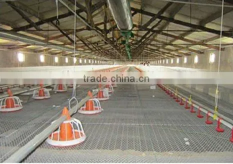 hot sale! Poultry feeding system