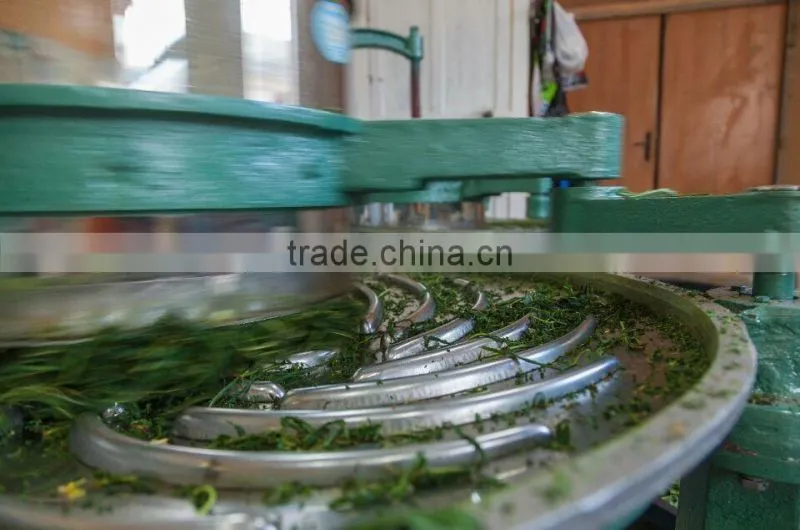 Original DELI tea roller,black tea leaf rolling machine