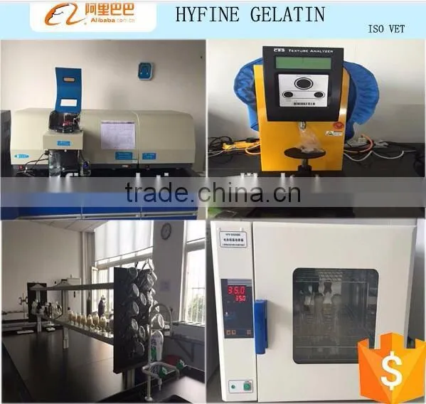 Industrial bovine gelatin used for match head