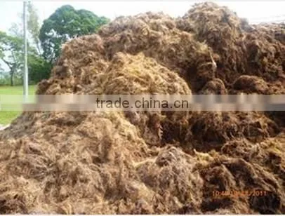 CS 2015 hot sale CE EFB fiber hammer mill EFB fiber slit machine EFB shredder for sale