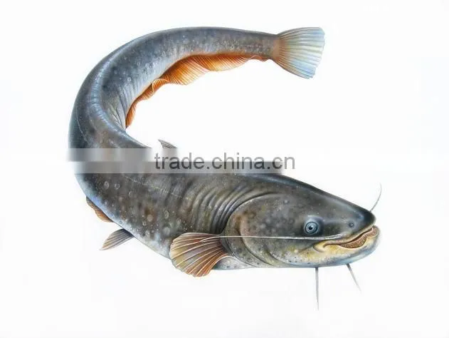 floating fish feed pellet extruder machine for fish, catfish, shrimps, crab