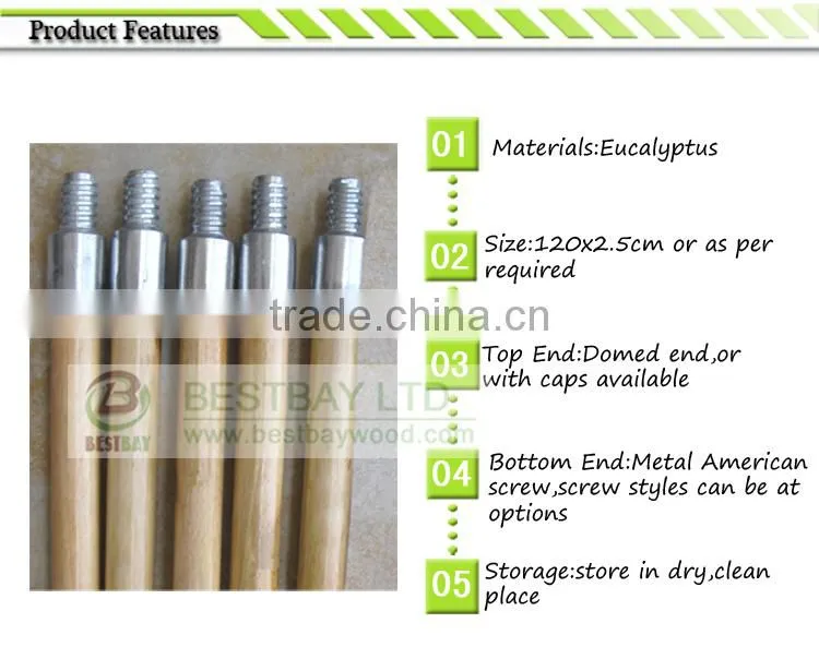 lacquered paint wood mop handle metal screw
