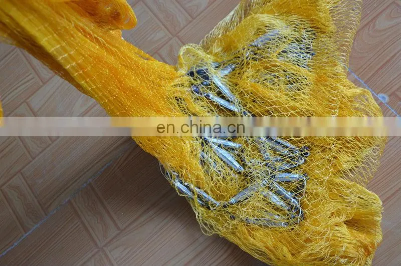 Throw Fishing Net Catch Live Bait
