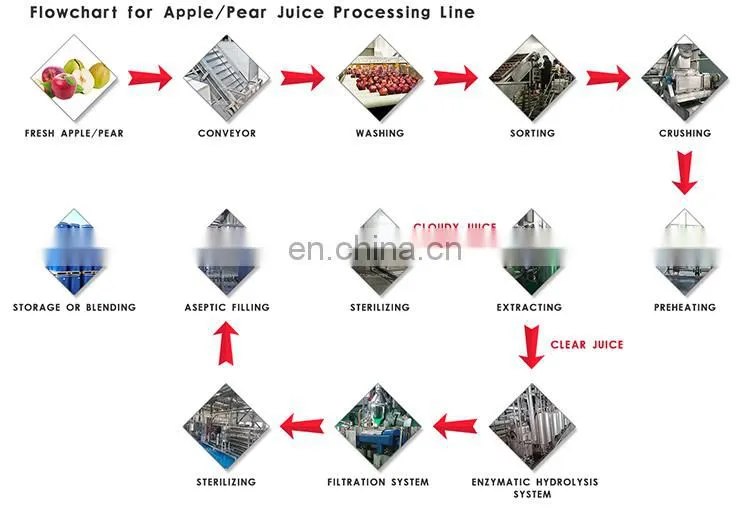 Mango tomato juicer production line processing filling machine fruit juice machinery