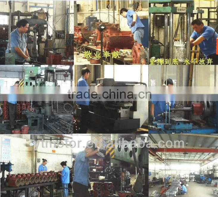 Asynchronous and Three-phase vibration motor company