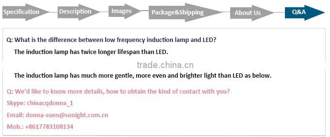 waterproof IP65 outdoor euro induction 200w garden lamp street light