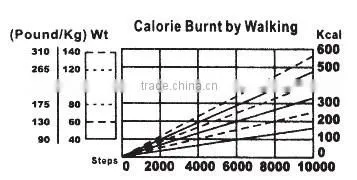 g-sensor pedometer/LCD display