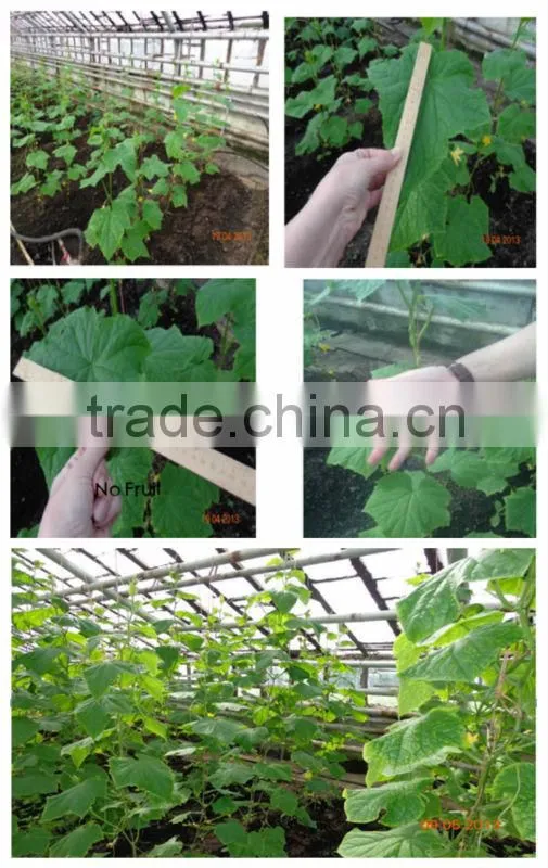 100w Hydroponic Growing Plant Induction Grow Lamp