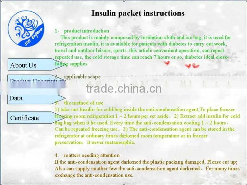insulin storing bag of 2 bottle bag