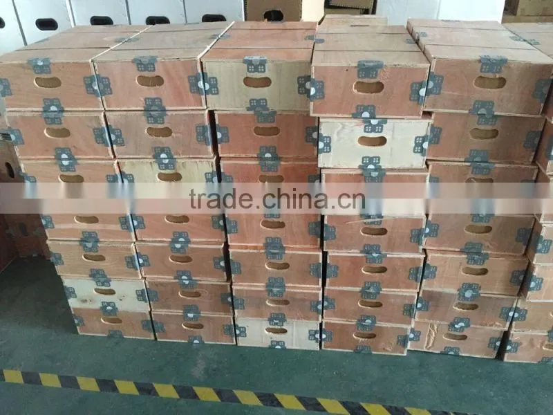 4inch Submersible Solar Pump (6.5cbm/hr-98m-1 kw)