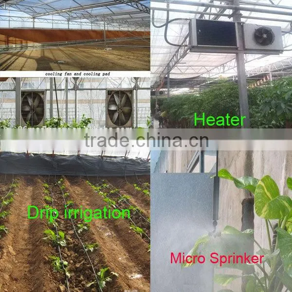 Multi-span plastic film greenhouse and forever flowering auto blackout greenhouse