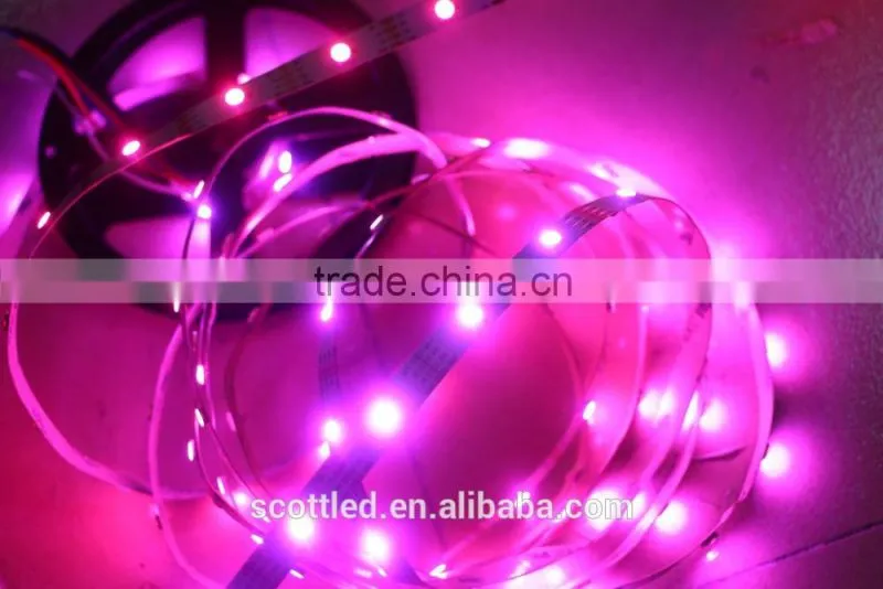 WS2813 5050 led strip RGB addressable, 5V digital addressable rgb led strip