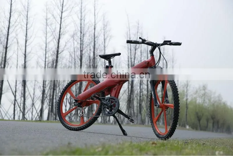 Seagull -China factory unique design EN14764 Bicycle e-bike middle motor